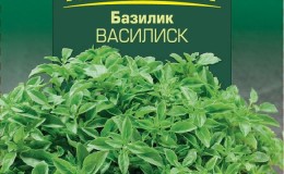 Aromatic basil variety Basilisk for marinades and fresh salads