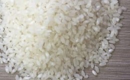 O que é o arroz Baldo e para que serve?