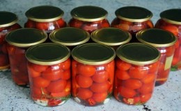 Top 15 resipi tomato dalam tin paling lazat: bagaimana untuk memetik tomato dalam balang untuk musim sejuk