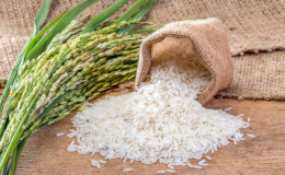 Tudo sobre arroz: o que é o arroz e como apareceu, curiosidades sobre uma planta de países distantes