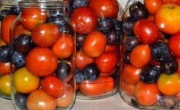 How to cook pickled tomatoes at home: top 10 best recipes and recommendations from experienced housewives