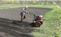 Teknik för att plantera potatis med en bakomgående traktor