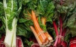 What is chard, how to eat it correctly and how it can be useful