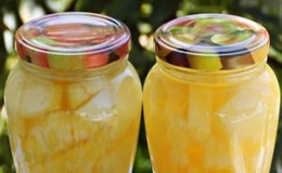 Top 8 best recipes for preparing melon in syrup for the winter in jars