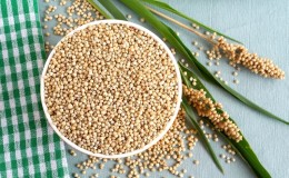 Verwendung von Sorghum als Futtermittel für Geflügel und Vieh