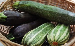 Cosa e come conservare le zucchine per lungo tempo: creando le condizioni ideali