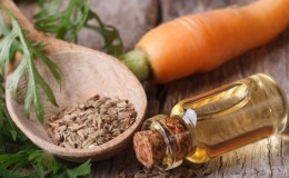 How to make oil from carrot seeds and what it is used for