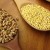 What is the difference between millet and wheat and how to use them in cooking