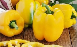 Os benefícios e malefícios do pimentão amarelo e há diferença entre as cores do vegetal?