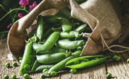 Quels sont les avantages et les inconvénients des pois pour l'homme ?