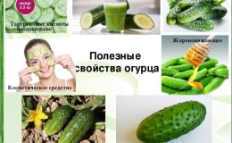 The benefits and harms of cucumbers for human health