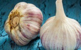 Wir untersuchen das Problem gründlich: Knoblauch wird im Frühling gelb – was tun und wie man es verhindern kann