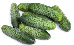 Review of Furor cucumbers: advantages and disadvantages, crop characteristics and growing tips