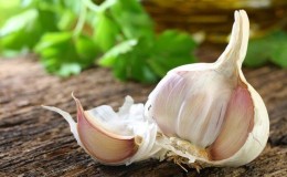 Wie, wann und was man Knoblauch nach dem Winter füttert – Ratschläge von erfahrenen Gärtnern für eine reiche Ernte