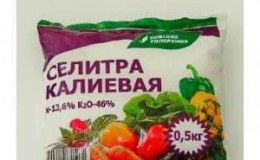 Como o nitrato de potássio é útil para pepinos durante o período de frutificação e como usá-lo corretamente