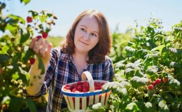 L’effet des framboises sur le corps d’une femme : comment c’est utile et dans quels cas c’est nocif