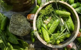 Una selección de las mejores recetas de pepinos encurtidos para el invierno en casa.