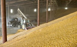 Termini, regole e modalità di conservazione del grano su scala industriale e domestica