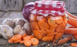 The best recipes for making pickled carrots