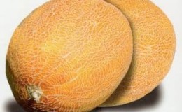 Descripción y características del melón cruzado con piña: ¿a qué sabe la minifruta?