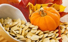 Come selezionare e preparare i semi di zucca per la semina e poi ricavarne un raccolto eccellente