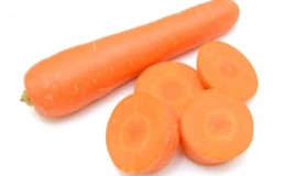 Early maturing, cold-resistant Dordogne carrot hybrid