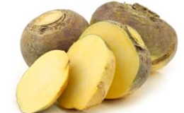 Ano ang rutabaga, paano ito lumalaki, para saan ito kapaki-pakinabang at saan ito ginagamit?