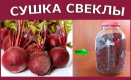 An interesting preparation for the winter: we store dried beets correctly along with the tops and use them in cooking