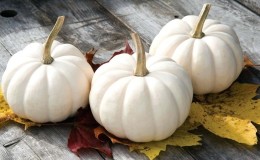 Además del color, ¿en qué se diferencia una calabaza blanca del resto?