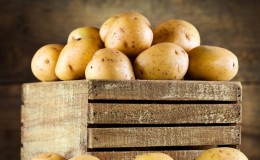 Is it possible to store potatoes on the balcony in winter and how to do it correctly