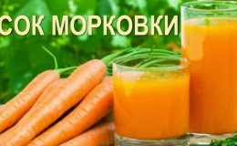 The benefits and harms of carrot juice: prepare and drink correctly with maximum therapeutic effect