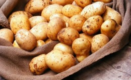 What is missing in the body if you constantly want potatoes?