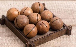 Propiedades beneficiosas de la nuez de macadamia para hombres y reglas para su uso.