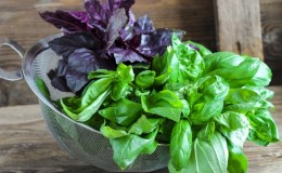 How to properly store fresh basil in the refrigerator