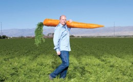 Record holders among vegetables: what is the largest carrot in the world and who grew it