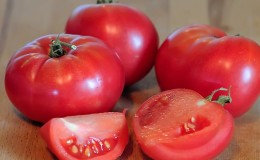 En deilig salattomat med en søt honningsmak - Pink Elephant-tomaten og dens andre fordeler