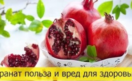 The benefits and harms of pomegranate for the health of women, men and children