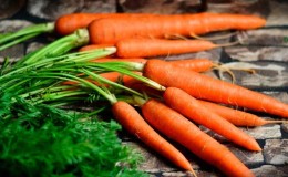 Is it possible to eat carrots with pancreatitis and in what form?