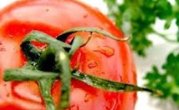 Rasa dan faedah tomato sepanjang tahun: bagaimana untuk membekukan tomato untuk musim sejuk di dalam peti sejuk dan apa yang perlu dimasak daripadanya