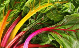 Not a waste, but a source of vitamins: what are the benefits of beet tops and how they can be used