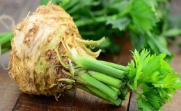 What is the difference between lovage and celery or are they the same thing?