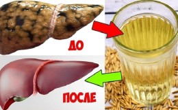 As melhores receitas para limpar o fígado com aveia em casa