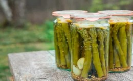 Bagaimana untuk memasak asparagus dalam tin dengan cepat dan lazat: resipi terbaik