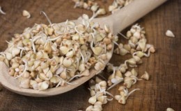 The benefits and harms of green sprouted buckwheat