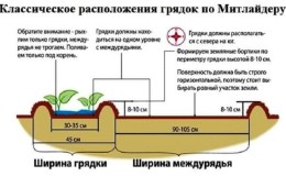 Planting and growing potatoes using the Mittlider method for high yields