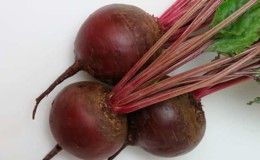 Bordeaux table beets: ideal color and taste for culinary use and long-term storage