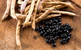 How to grow black beans on your own plot and properly prepare the resulting harvest - the best recipes