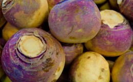 อย่างไรและเมื่อใดที่จะเก็บเกี่ยว rutabaga เพื่อรักษาการเก็บเกี่ยวจนถึงฤดูใบไม้ผลิ