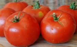 En veteran innen innenlandsk utvalg - den sibirske tidligmodne tomaten, tidstestet og elsket av gartnere