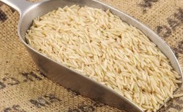 Gạo Basmati khác gạo thường như thế nào?